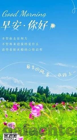 007足球比分即时比分-007足球比分即时比分,足球迷的实时战报神器与观赛新体验