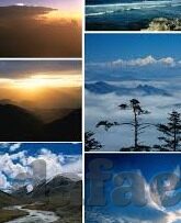 波兰足球2018比分-波兰足球2018,从世界杯征程到欧国联的起伏,比分背后的故事与启示