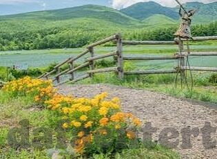 看足球比分直播-指尖上的绿茵盛宴,解锁看足球比分直播的多元体验