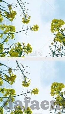 一场足球比分-一场足球比分的背后,激情、策略与命运的交织