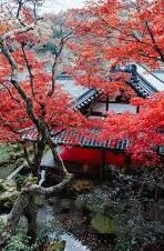 足球14场分析比分-足球14场比分深度分析,策略、数据与实战洞察