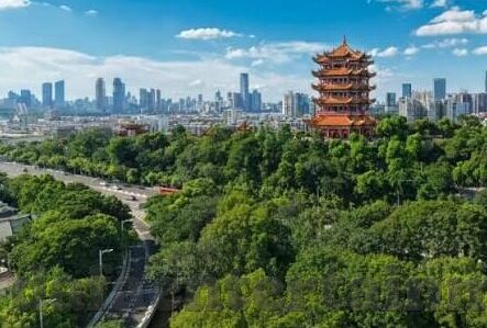 足球比分平-足球比分平,绿茵场上的另类艺术与战术博弈