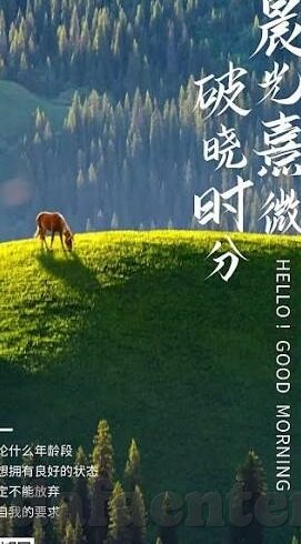 足球比分中超-中超风云,足球比分背后的热血与激情